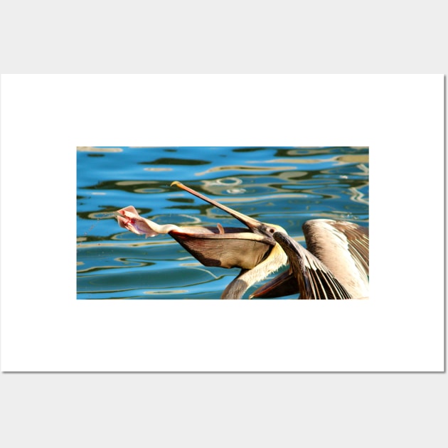 Big Mouth Pelican Wall Art by Cynthia48